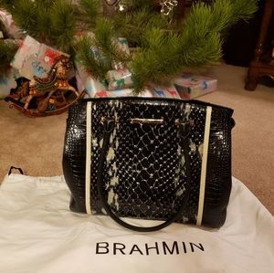 Brahmin Carryall